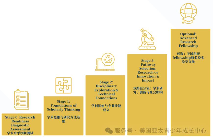 科研培养的三阶段路径图:基础、跨学科探索、成果与影响
